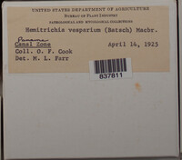 Image Associated With the Occurence